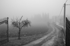 pula_2022_01_900x